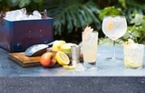 cocktails op bar met fruit
